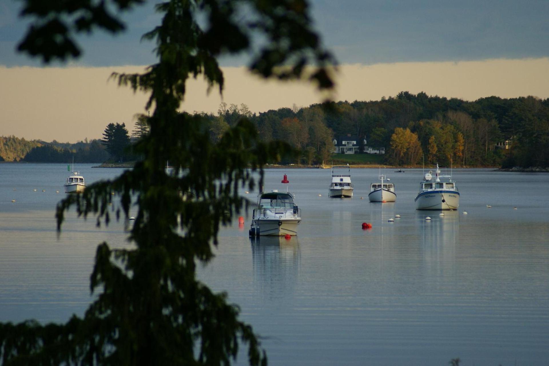 Fisherman'S Daughter B&B Mahone Bay Eksteriør bilde
